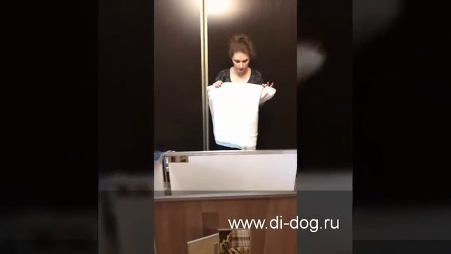 Обустраиваем вольер для щенков смотреть онлайн