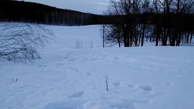 Прыжки на снегоходах смотреть онлайн