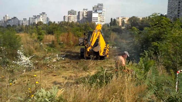 Вырубка возле Оболонского Озера 2014 09 03 смотреть онлайн
