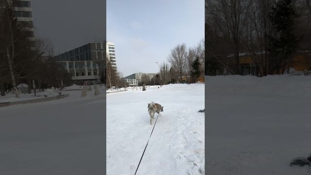 Узнал город ставь ? смотреть онлайн