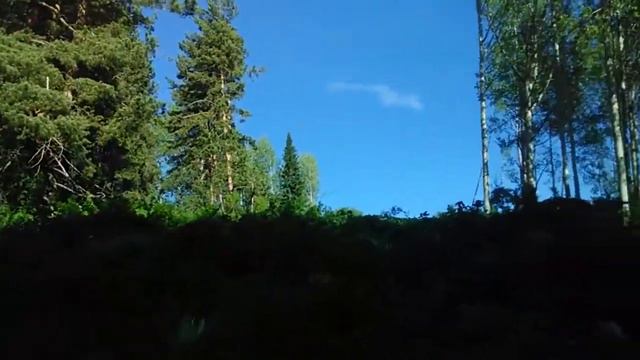 Алтайские Альпы Скучная прогулка по кушарам (часть 2) смотреть онлайн