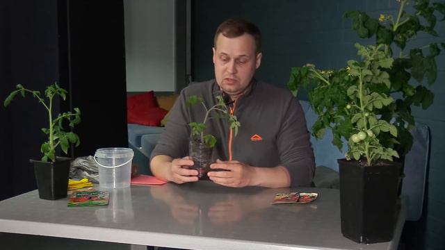 Радужные цели