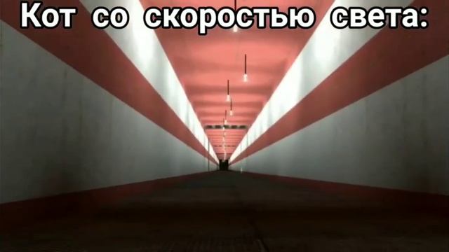 я говорю кис кис кот который бежит со скоростью света: рокси бежит мем фнаф-9 смотреть онлайн