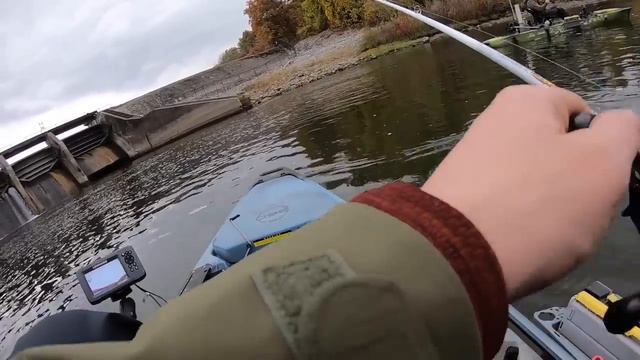 Monsterbass Regional Box SLAM | Scenic RIVER FISHING смотреть онлайн