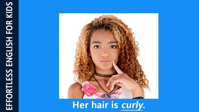 Vocabulary For Kids - Your Hair (Grade 2)