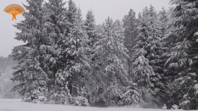 Грабли веерные Для любителей канала Грабли Live 01 01 23 смотреть онлайн