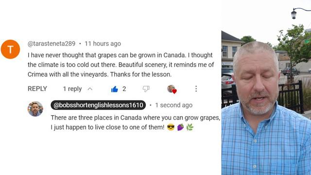 Learn The English Phrases 