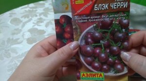 Томат Всем на зависть и другие 2022