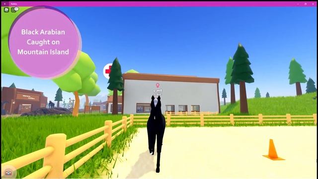 Wild Horse Islands ? Arabian Update + My friend is having a giveaway! смотреть онлайн