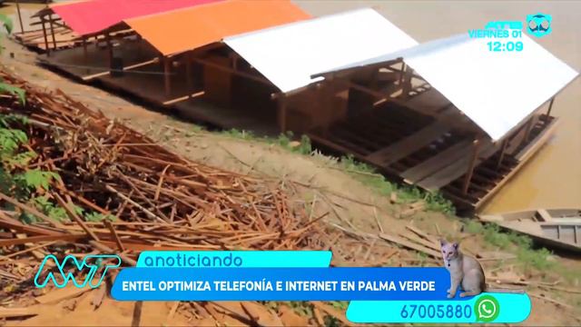 Entel optimiza su servicio de telefonía móvil e Internet en Palma Real - Pando смотреть онлайн