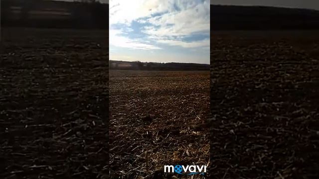 Харьковская область. Поиск с металлоискателем. смотреть онлайн