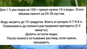Медный купорос для клубники — друг и врач, который всегда под рукой.
