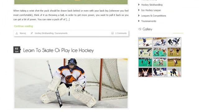 HockeyStick: Hockey WordPress Theme смотреть онлайн