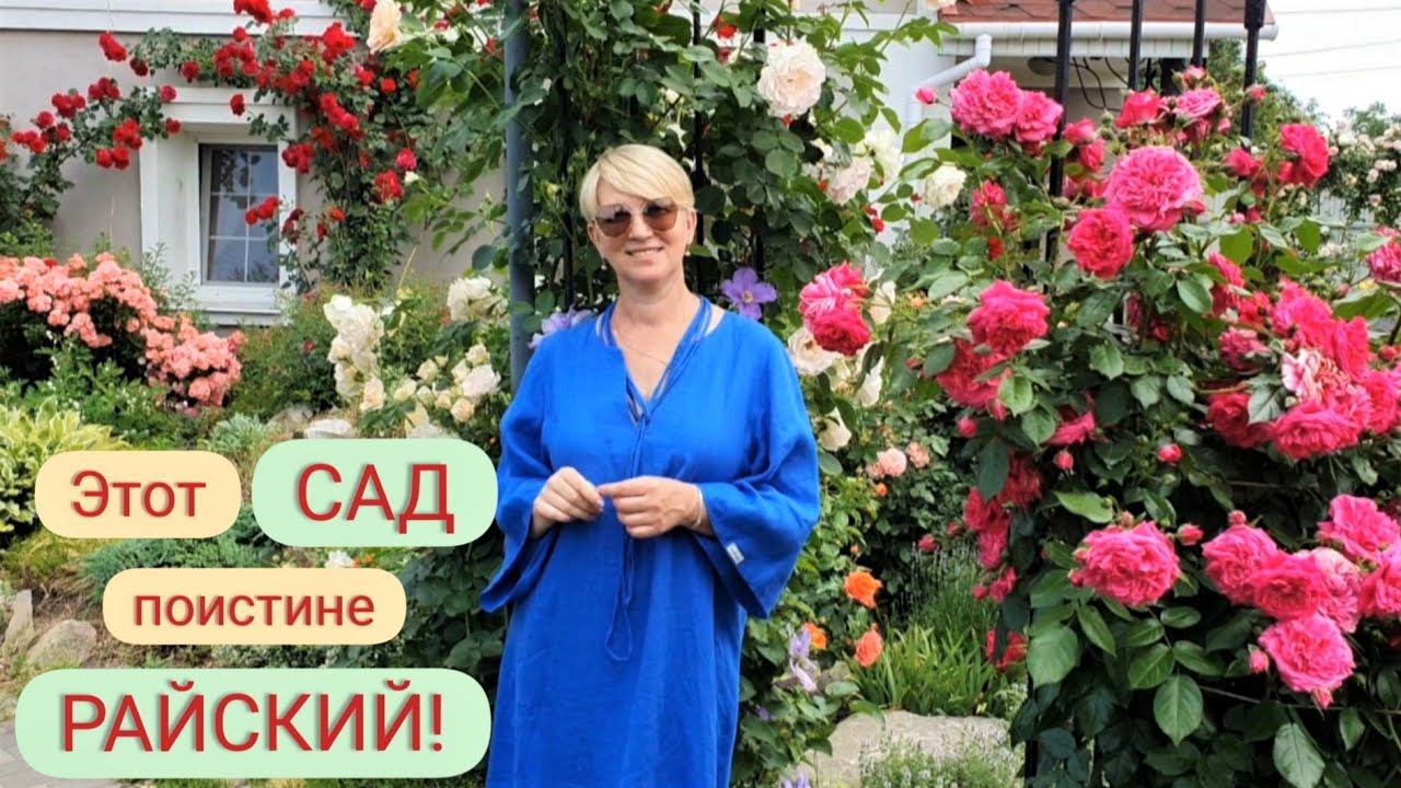 Прекрасный САД Светланы и Сергея Декуновых . Лучшие сорта РОЗ. Лавандовый бордюр. смотреть онлайн