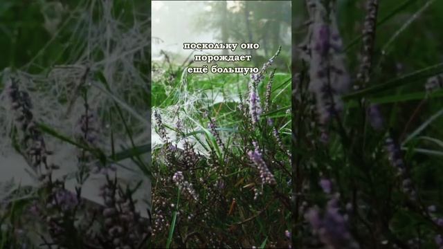 Научись быть спокойным... #мудрость #расслабление #спокойствие смотреть онлайн