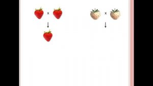 Генетика.Взаимодействие аллельных генов. Неполное доминирование.