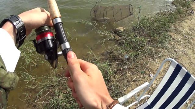 Ловля Дикого Карася, Карпа и Сазана в Калмыкии смотреть онлайн