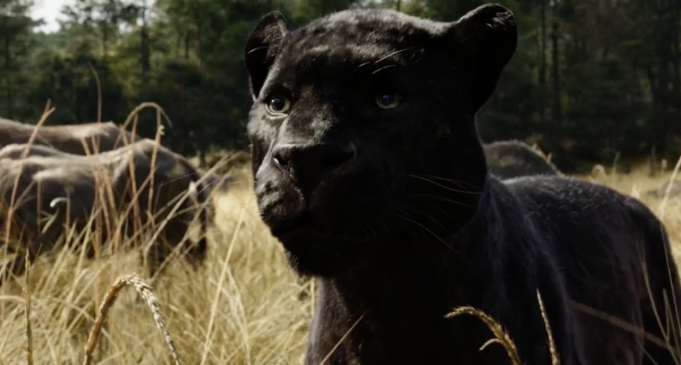 Книга джунглей (2016) Дублированный трейлер смотреть онлайн