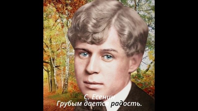 294 Грубым дается радость смотреть онлайн