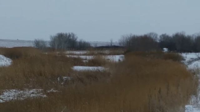 Речка заросла камышом ? смотреть онлайн