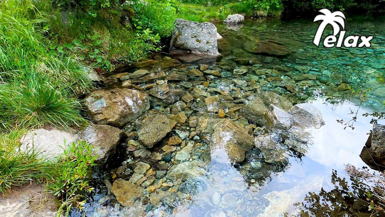 Sounds of Nature, Birds Singing, Sounds of Creek, for Relaxation, Sleep, Meditation, 8 hours смотреть онлайн