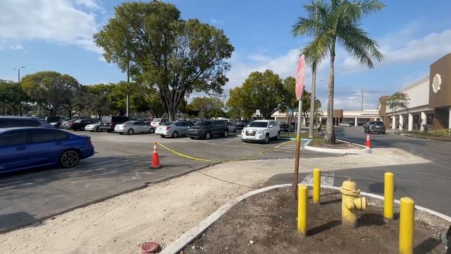 Сдача экзаменов на права вождения в США Майами