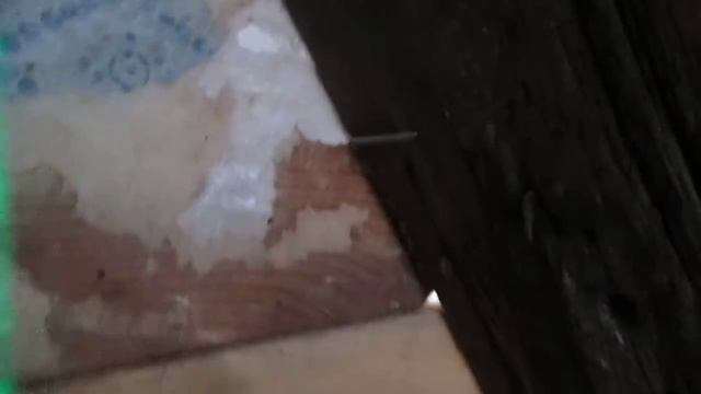 люмики, в чем фишка???? смотреть онлайн