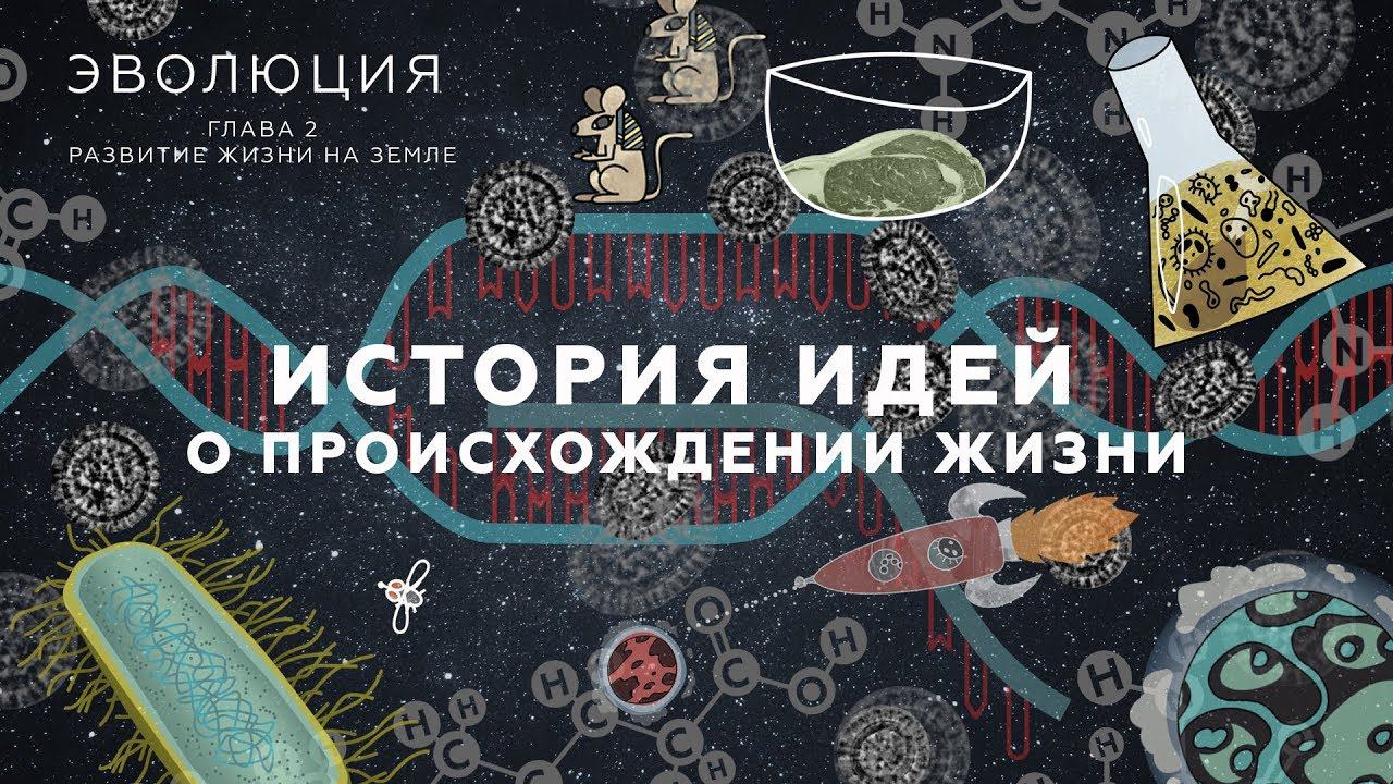 4. История идей о происхождении жизни. Развитие жизни на Земле - 10 - 11 класс смотреть онлайн
