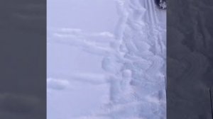 Тайга 550 с Лифан 29 сил. Танк