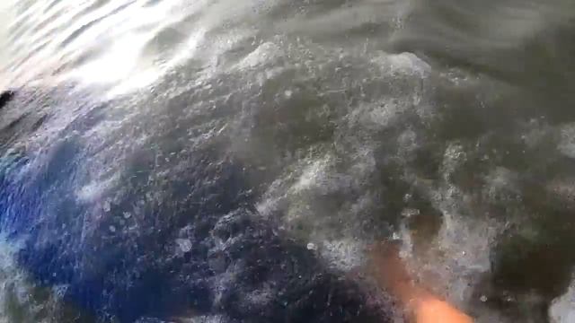 One Step Training // POV SkimBoard Eden / Go Pro Hero 7 Black / смотреть онлайн