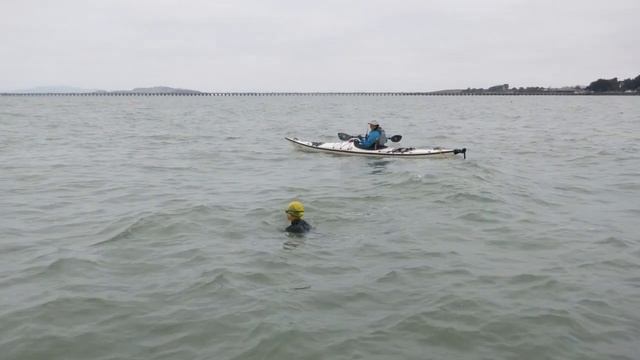 August 22, 2021 Odyssey Berkeley Swim - Berkeley Marina California Open Water Swimming смотреть онлайн