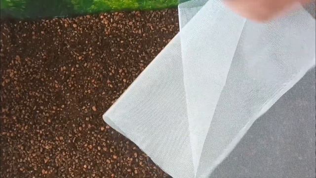 Ошибка при запуске аквариума проявилась через 6 месяцев смотреть онлайн