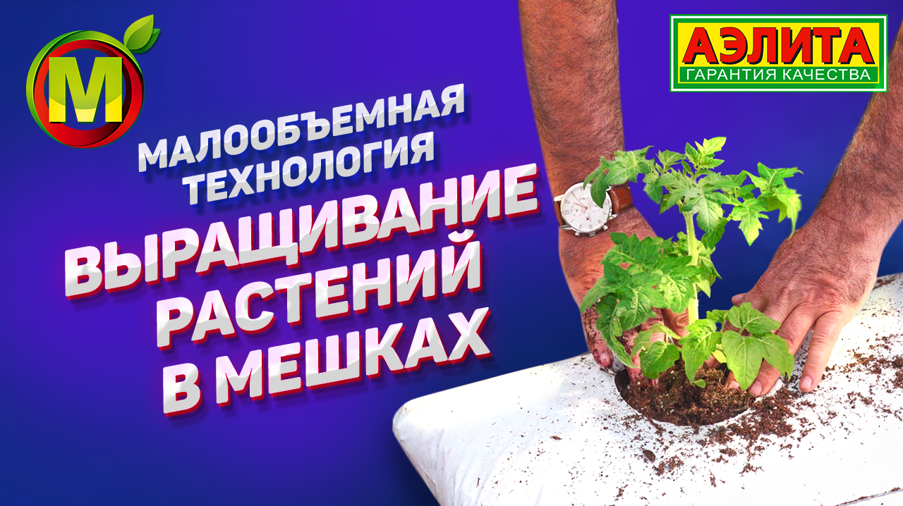 Выращивание овощных культур в мешках ПО МЕТОДУ МАЛООБЪЕМНОЙ ТЕХНОЛОГИИ смотреть онлайн