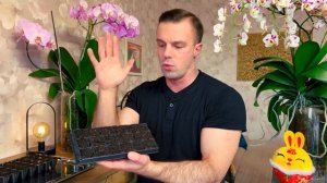 ФЕВРАЛЬ - время СЕЯТЬ. ЧЕМ украшу БАЛКОН? Петунии (Сурфинии), бархатцы.