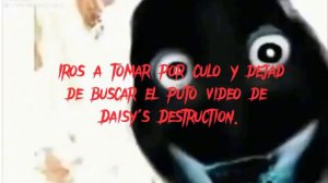 Daisy destruction full video