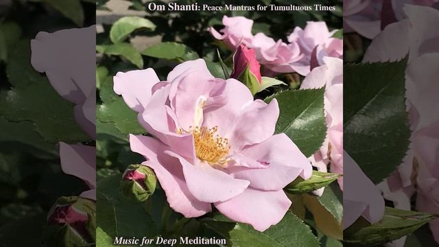 Universal Prayer: Sarve Bhavantu Sukhina смотреть онлайн