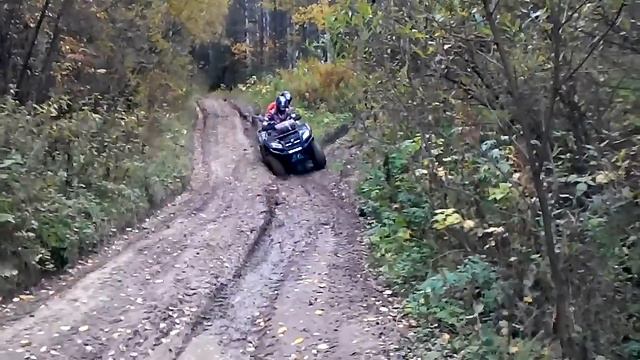 Лесной смотреть онлайн