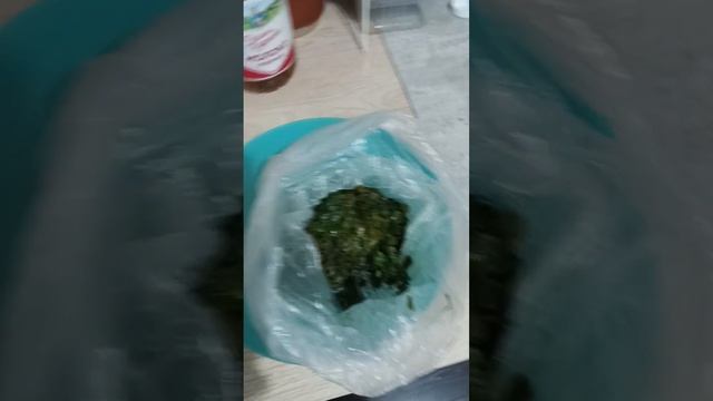 как приготовить щавелевый суп