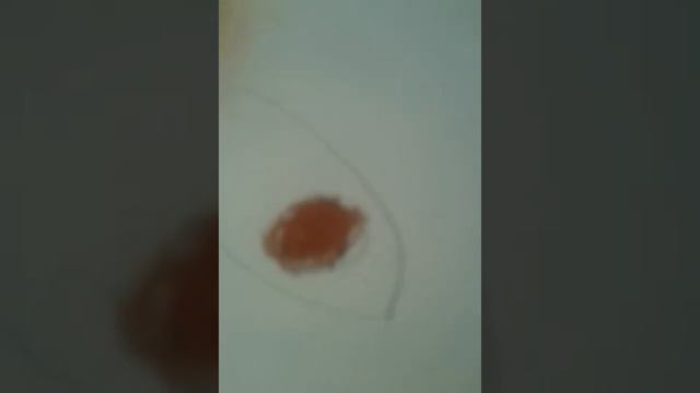 Как нарисовать поэтапно медведя. смотреть онлайн