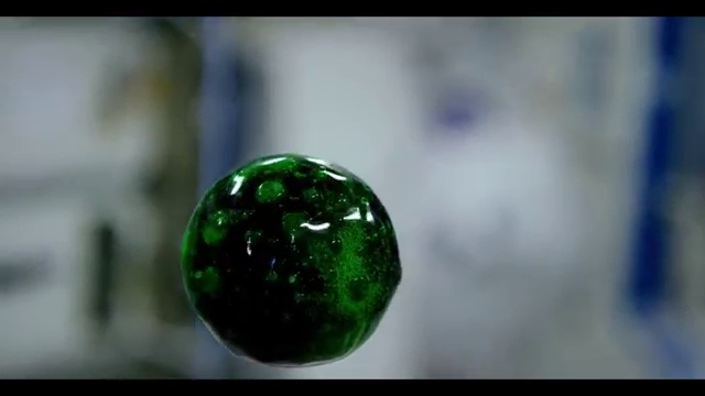 Восхитительные эксперименты с жидкостью в невесомости смотреть онлайн