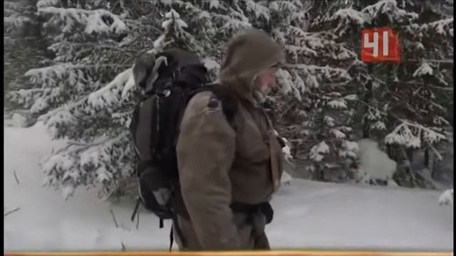 Лесная перепись смотреть онлайн