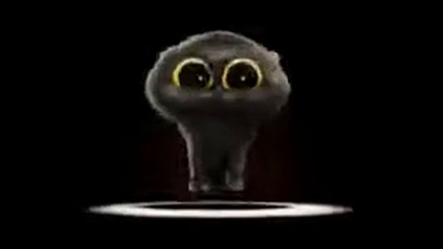 Кот пайот смотреть онлайн