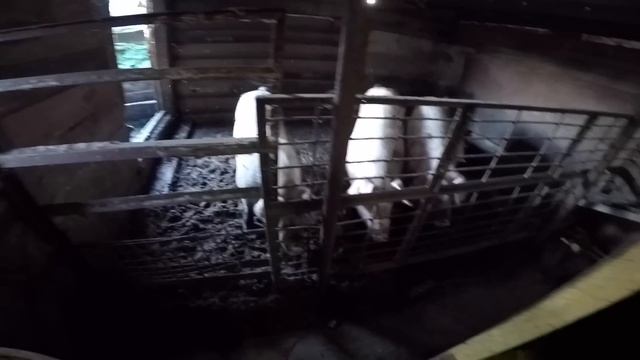 В каком супермаркете я покупаю продукты питания