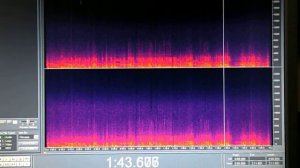 Александрович   Белла Донна