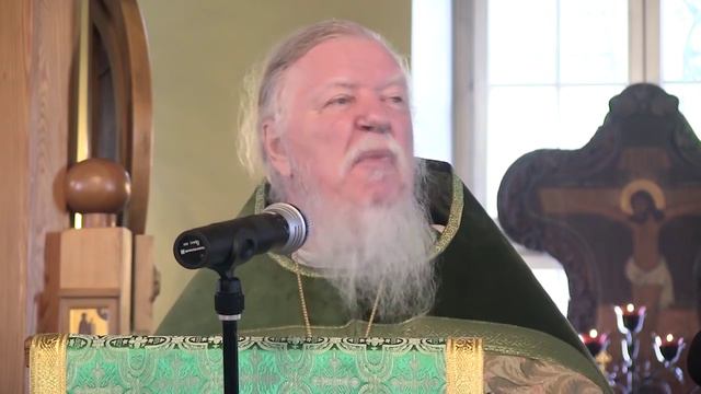 Ты  живёшь в аду, сынок! Протоиерей Дмитрий Смирнов