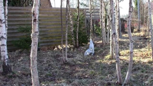 Воровство на дачном участке. ШОК Украли елку Дача 2018г смотреть онлайн