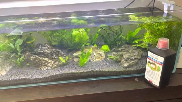 Why did I start using Easycarbo? From Easylife смотреть онлайн