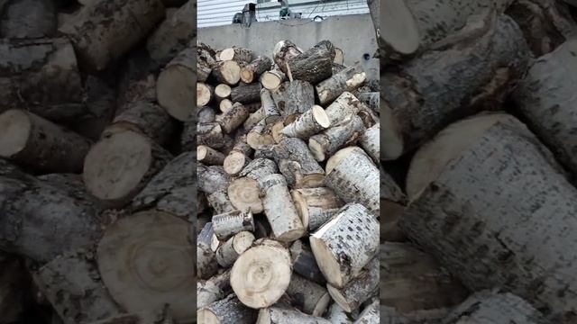 Дрова осины в Новосибирске смотреть онлайн