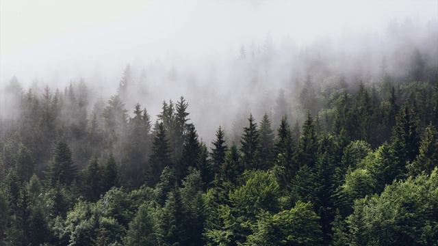 ENIGMA SADENESS ONE HOUR смотреть онлайн