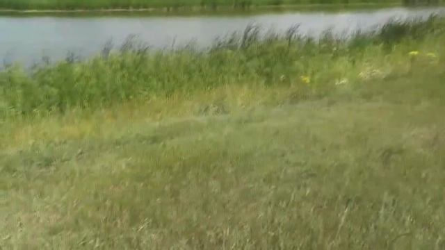 Экскурсия по местам моего детства.  22. 07. 2020